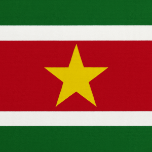 Suriname flag