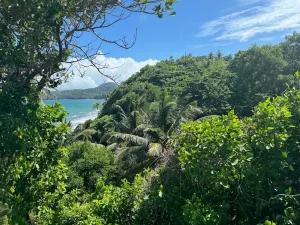 Caribbean eSIM