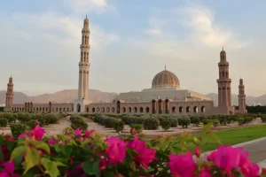 Middle East eSIM